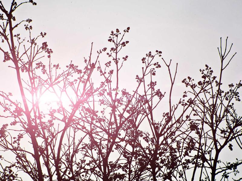 sudoku elimination method screenshot 6