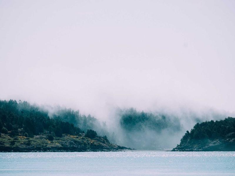 sudoku minimalist style screenshot 5